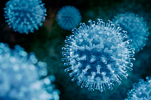 О профилактике острых респираторных инфекций, COVID-19 и гриппа в Молодечненском районе