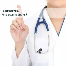 ЧТО ВАЖНО ЗНАТЬ О БЕШЕНСТВЕ? ПРОСТЫЕ ОТВЕТЫ НА СЛОЖНЫЕ ВОПРОСЫ!