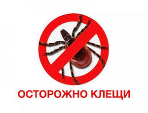 Профилактика клещевых инфекций.