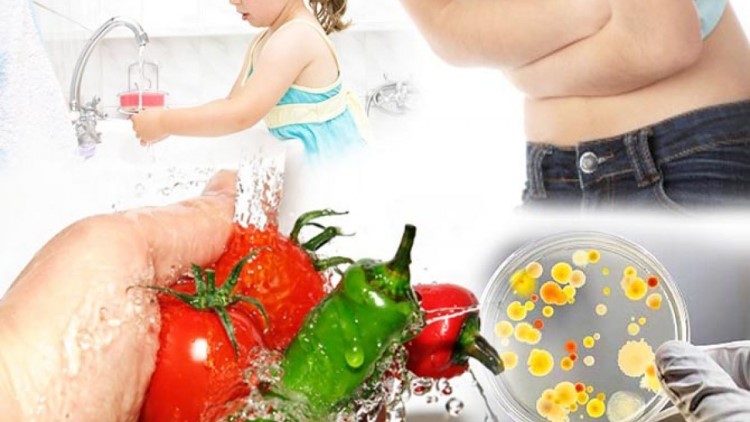 Чтобы отдых не стал бедой.