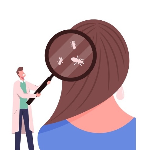 Педикулёз и его профилактика.