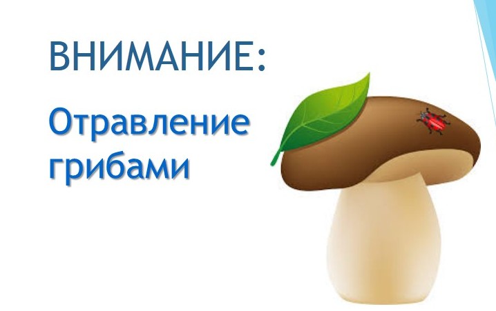 Профилактика отравлений грибами.