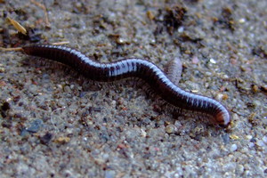 Бороться не надо!